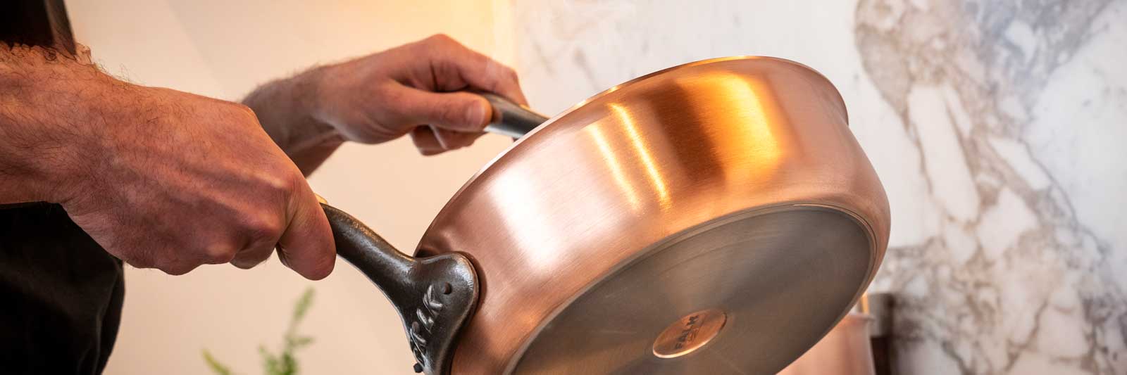 Falk Fusion Teaser Falk Fusion Teaser-Bild